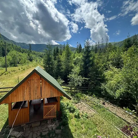 Wooddream 招待所 沃洛韦齐