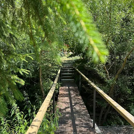 Wooddream 招待所 *