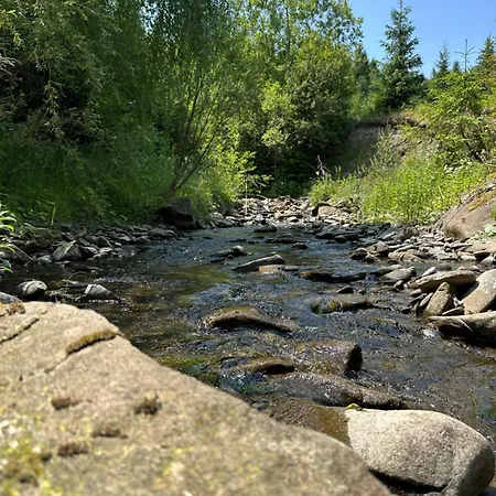 Gasthuis Wooddream *