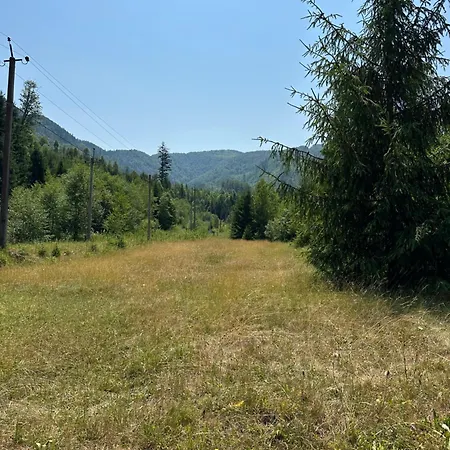 Wooddream 招待所 沃洛韦齐