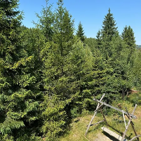 Gasthuis Wooddream Volovets