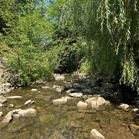 Wooddream * Volovets