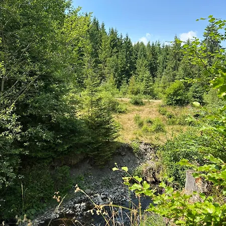 Wooddream 沃洛韦齐