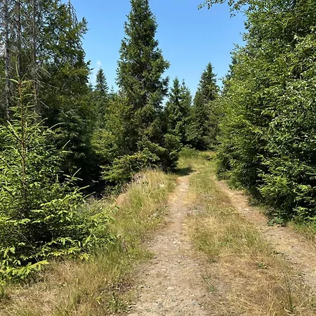 Wooddream Gasthuis *