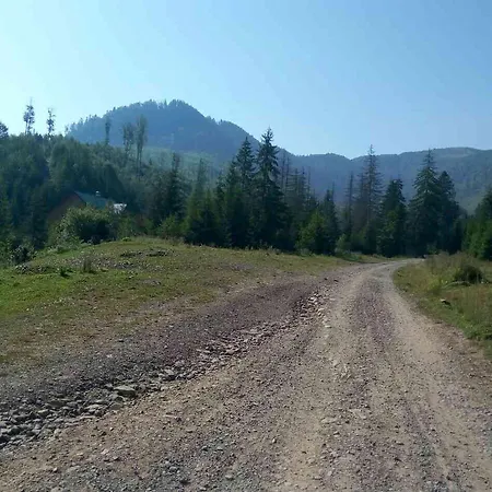 Gasthuis Wooddream *