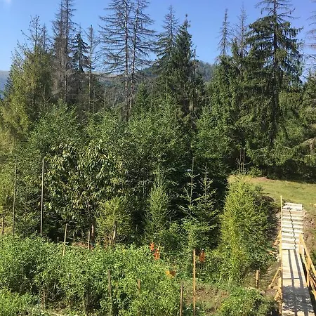 Wooddream * Volovets