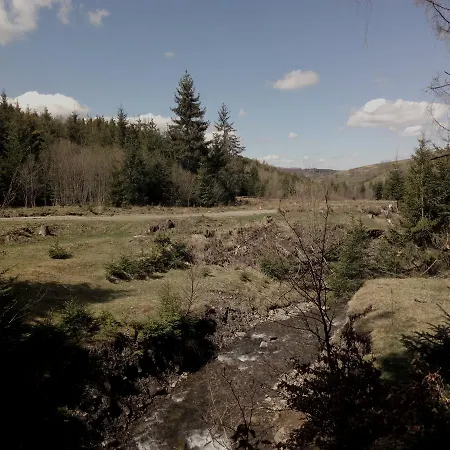 Wooddream * Volovets