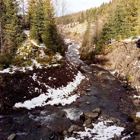 Wooddream * Volovets