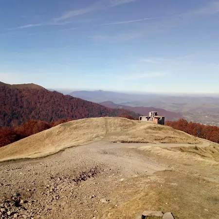 Wooddream * Volovets