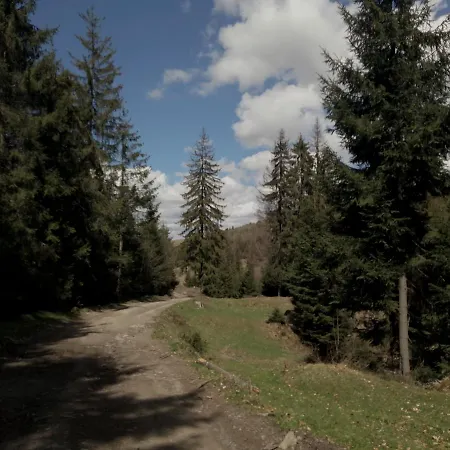 Gasthuis Wooddream *