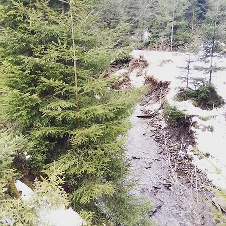 Gasthuis Wooddream *