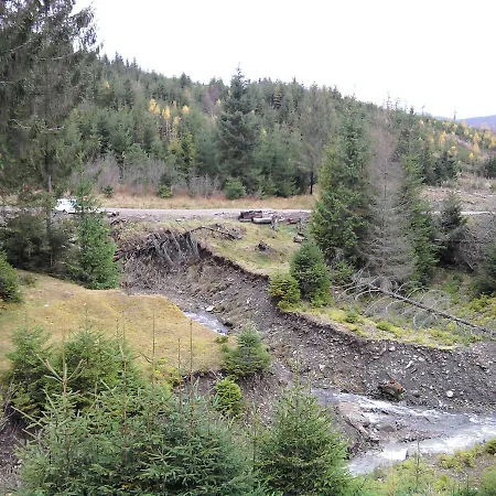 Gasthuis Wooddream *