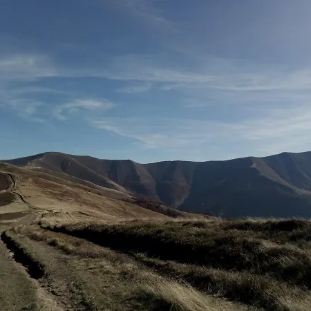 Wooddream * Volovets