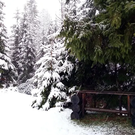 Gasthuis Wooddream *