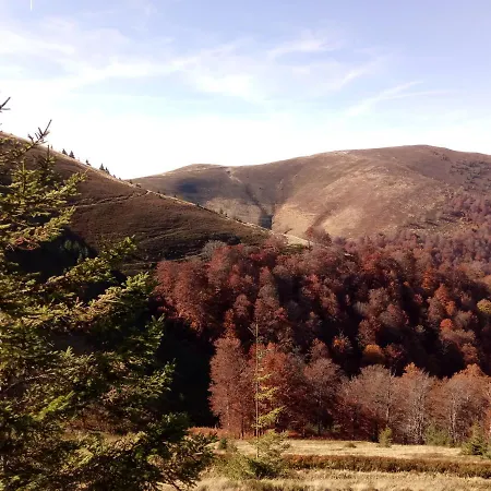 Wooddream * Volovets