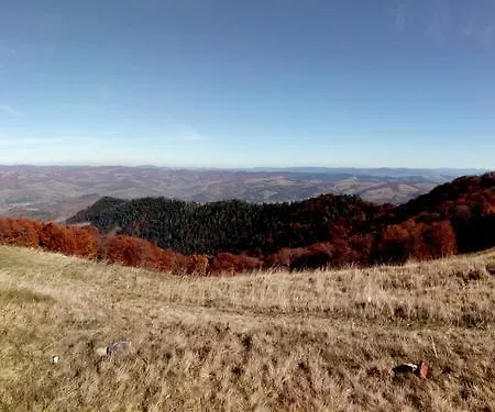 Gasthuis Wooddream *