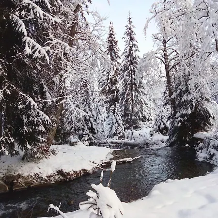 Gasthuis Wooddream *