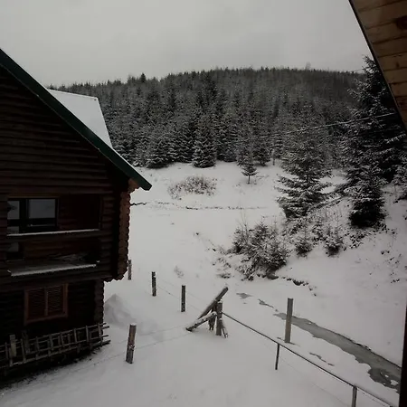 Gasthuis Wooddream *