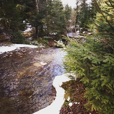 Gasthuis Wooddream *