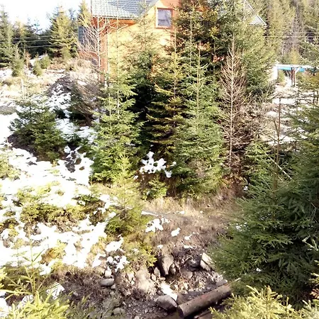 Wooddream * Volovets