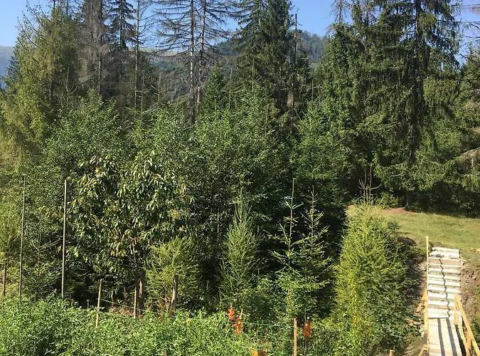 Wooddream * Volovets