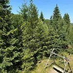 Pensjonat Wooddream Wołowiec