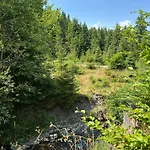 Wooddream Wołowiec