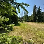 Wooddream