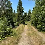Wooddream Pensjonat *