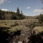 Wooddream * Wołowiec