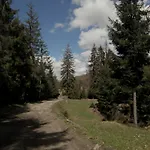 Pensjonat Wooddream *