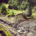 Wooddream * Wołowiec