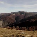 Wooddream * Wołowiec