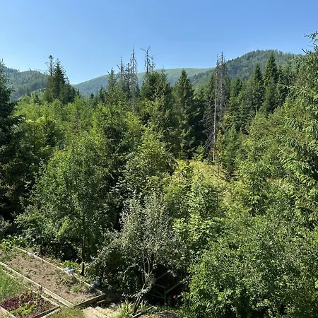 Wooddream