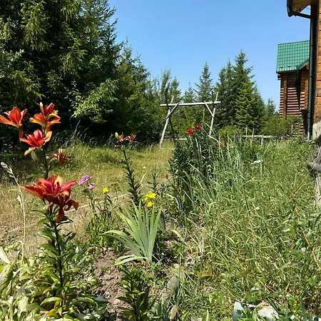 Gasthof Wooddream