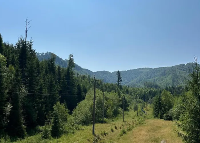 Wooddream *