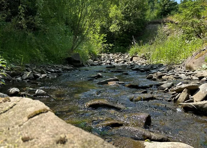 Vendégház Wooddream *
