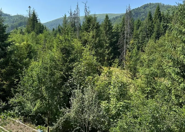 Wooddream