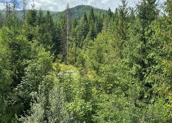 Vendégház Wooddream
