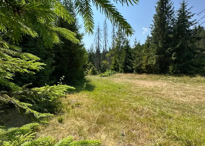 Wooddream
