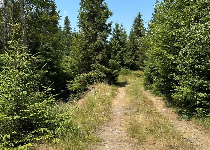 Wooddream Vendégház *