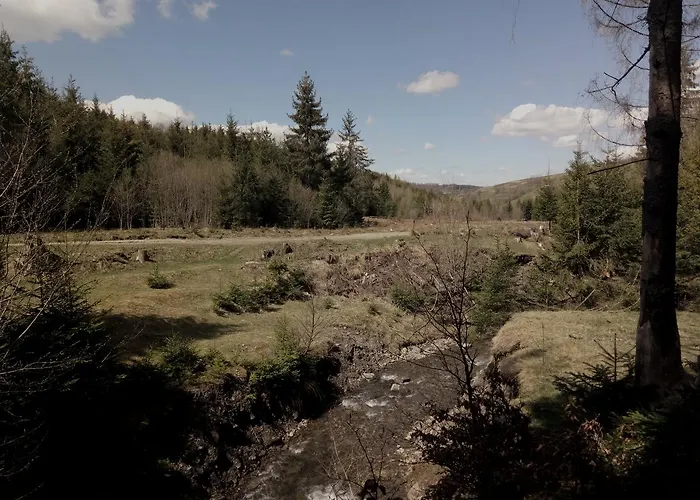 Wooddream * Volovets