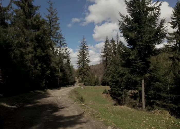 Vendégház Wooddream *