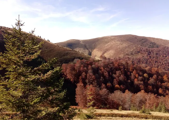 Wooddream * Volovets