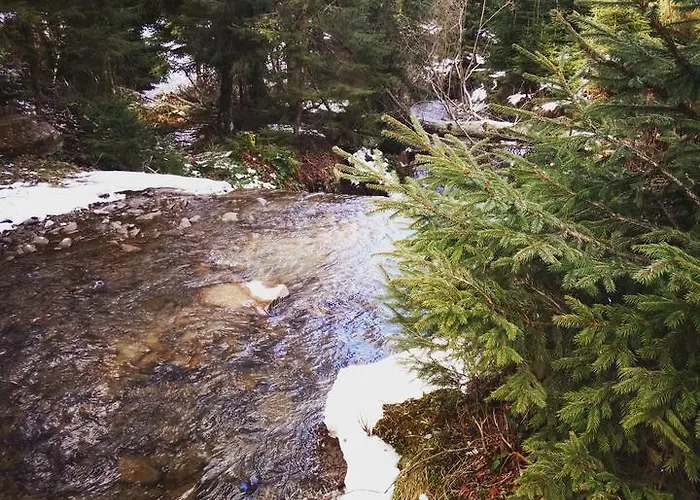 Vendégház Wooddream *